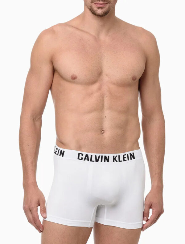 KIT 2 UNDERWEAR TRUNK SEAMLESS SEM COSTURA CUECA CALVIN KLEIN MULTICOLOR - Image 2