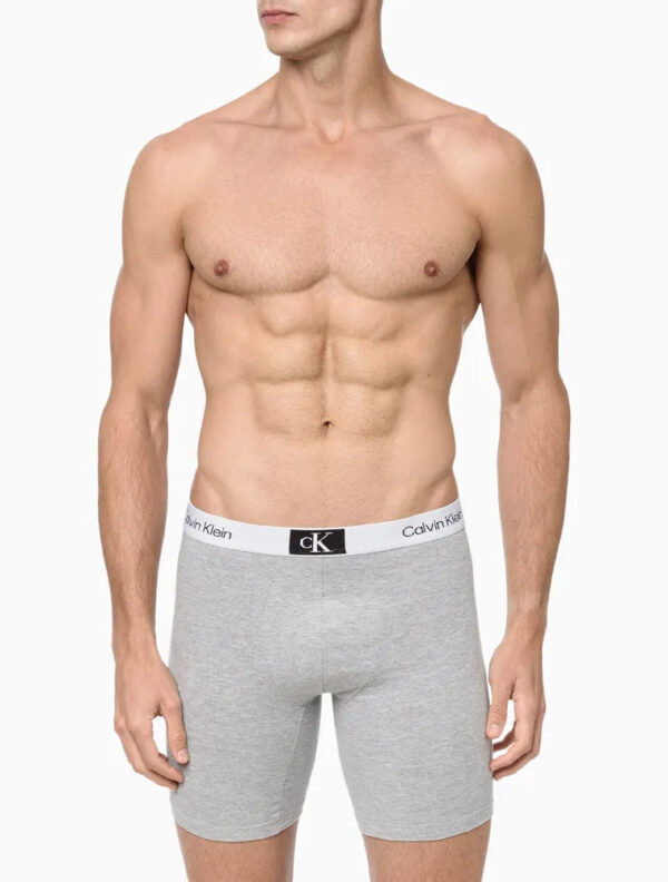 CUECA MASCULINA LONG BOXER COTTON 1996 CALVIN KLEIN UNDERWEAR MESCLA - Image 2